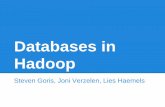 Databases in hadoop