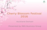 Cherry Blossom Festival 2016