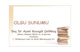 Dr. Aysel Çelikbaş-Vaka 2