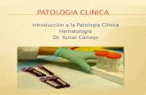 Patologia clinica introduccion