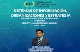 Capitulo 3 Sistemas de Información, Organizaciones y Estrategia