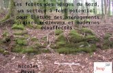 Les forêts des Vosges du Nord, un secteur à fort potentiel pour l'étude des aménagements agraires médiévaux et modernes désaffectés