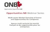 Opportunities NB Webinar Series - Multi-Sector Market Overview of France