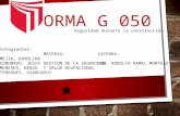 Norma G 050 (Seguridad en Obra)
