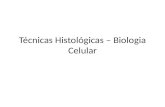 Técnicas histológicas – biologia celular