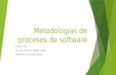 Metodologias de procesos de software