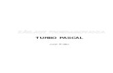 Základy programovania - Turbo Pascal
