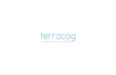 Presentation Deck - Hi-tech product (Terracog)
