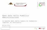 Natina Crea, Open data nella Pubblica Amministrazione - Le banche dati della Camera di Commercio "aperte" al territorio