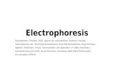 Prabhakar singh  sem-ii 3.1- electrophoresis