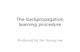 The backpropagation learning procedure