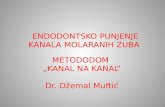 Dr Muftić Džemal prezentacija