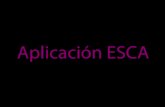 Aplicacion - Informe ESCA - Traductor.pdf