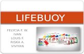 STDP Lifebuoy