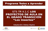 STS II.2TR: PROYECTO DE AULA: "LOS INSECTOS"