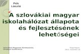 A szlovákiai magyar iskolahálózat állapota és fejlesztésének lehetőségei