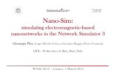NANO-SIM – Performance Evaluation