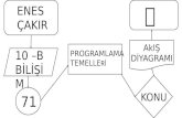 Programlama Temelleri Akış Diyagramı