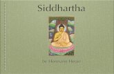 Siddhartha multimedia