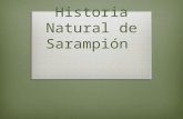 Historia natural sarampion