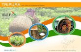 Tripura State Report - January 2017