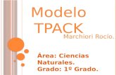 Modelo TPACK- Marchiori Rocio.