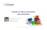 Guide to New Executive Assimilation