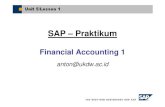 SAP - FI1 [Compatibility Mode]