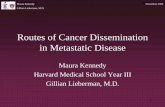 Mechanism of Dissemination in Metastatic Cancer