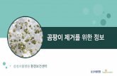 [삼성서울병원] 곰팡이 제거를 위한 정보 / 환경보건센터