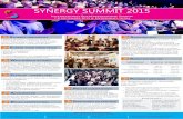 Synergy Summit Poster_4