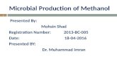 Microbial production of methanol (1)