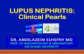 Lupus nephritis peals