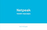 Карьера в Netpeak