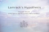 Lamracks hypothesis