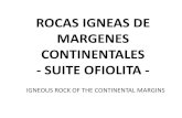 Rocas Igneas de Margenes Continentales