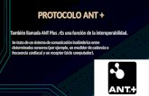 Protocolo ant +