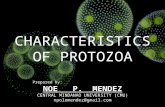 Characteristics of protozoa
