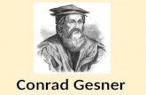 Conrad Gesner, 500 anos