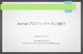 Aerial Projectのご紹介