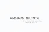 Radiografia industrial