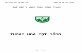 Thoai hoa cot song www
