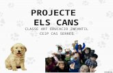 Projecte de Cans