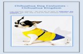 Chihuahua Dog Costumes – Chihuahua Kingdom