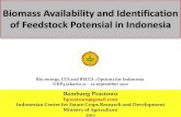 Biomass Availability and Identification of Feedstock Potensial in ...