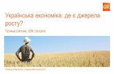 Українська економіка: де є джерела росту?