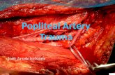 Popliteal artery trauma