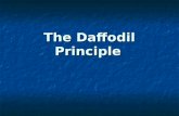 Daffodil Principle