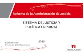 POLÍTICA CRIMINAL Y SISTEMA DE JUSTICIA