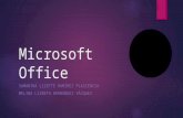 Microsoft oficce significado